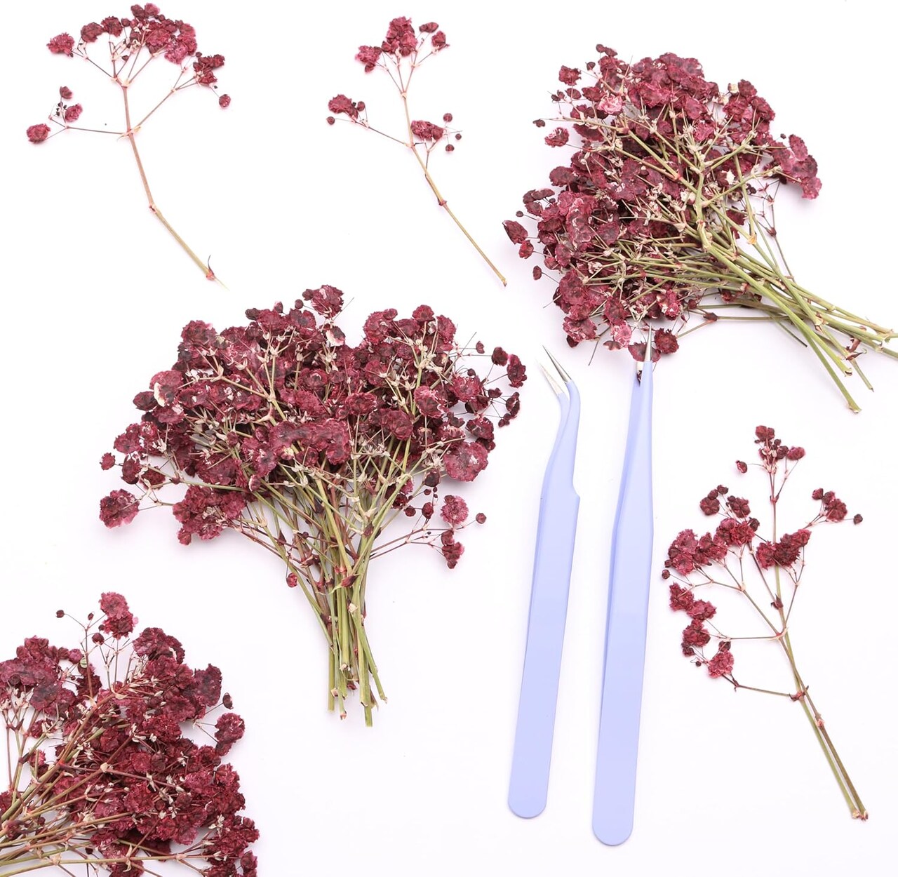 Dark Red 70 Pcs Dried Babys Breath Pressed Flowers Bulk.Vacuum-Packed Mini Dried Babies Breath Flowe Specimen +2 Tweezers, for Resin Art /DIY Making Wedding Card/ Home Party Decor.